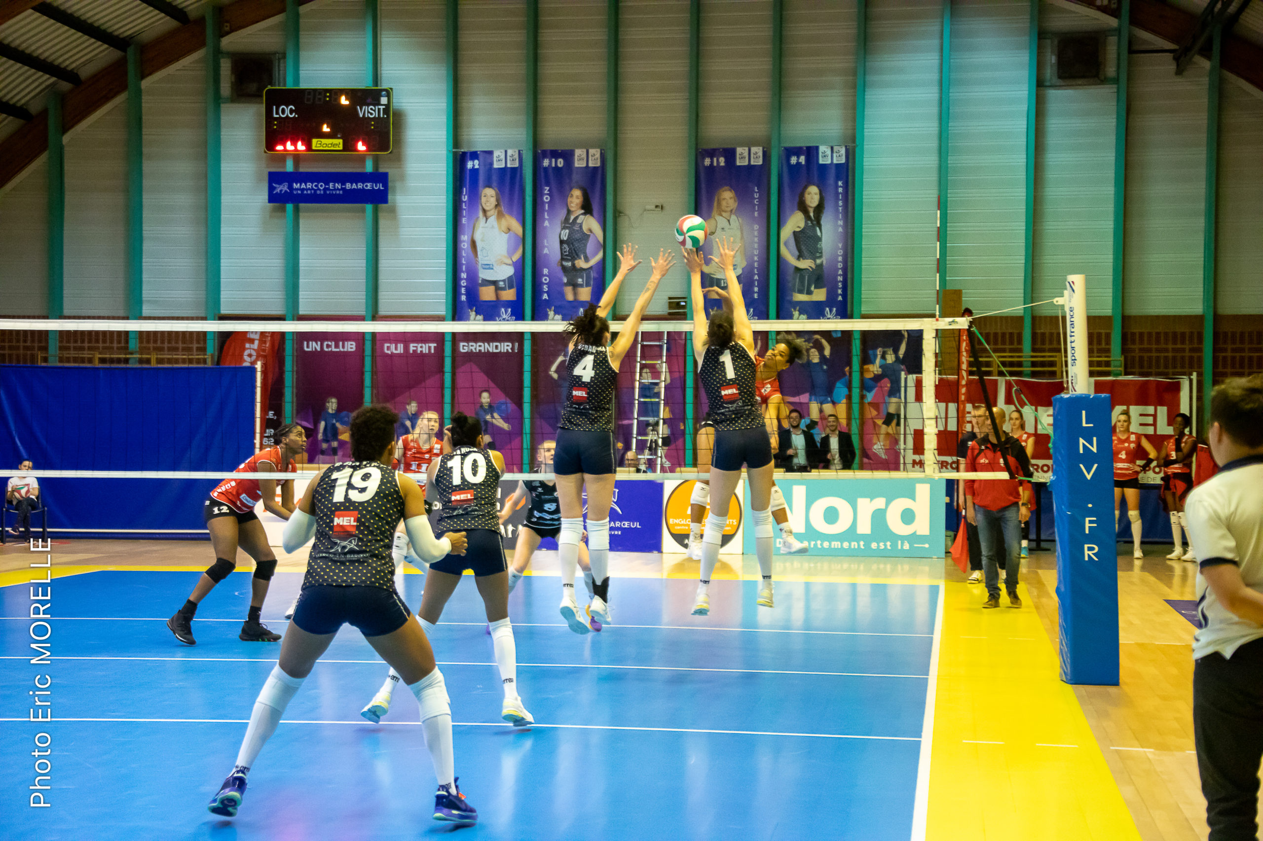 5D4_4734-MORELLE_-vcmb-_2020