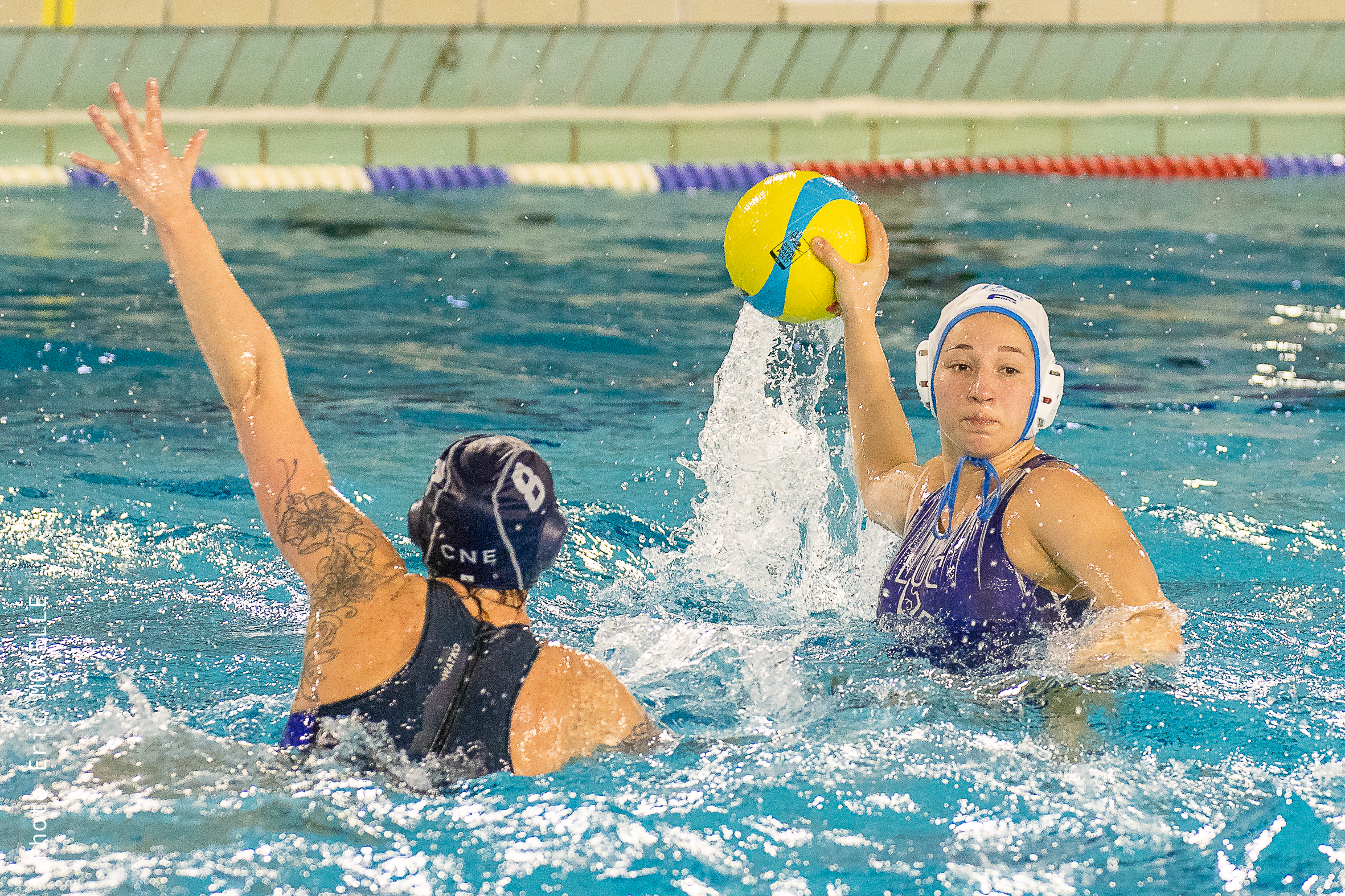 morelle-LMWP-2022-8051