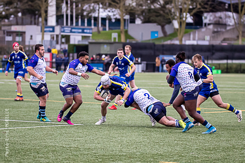 morelle-OMR-2022-23688