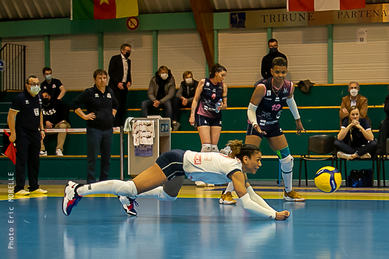 morelle-VCMB-2021-21822